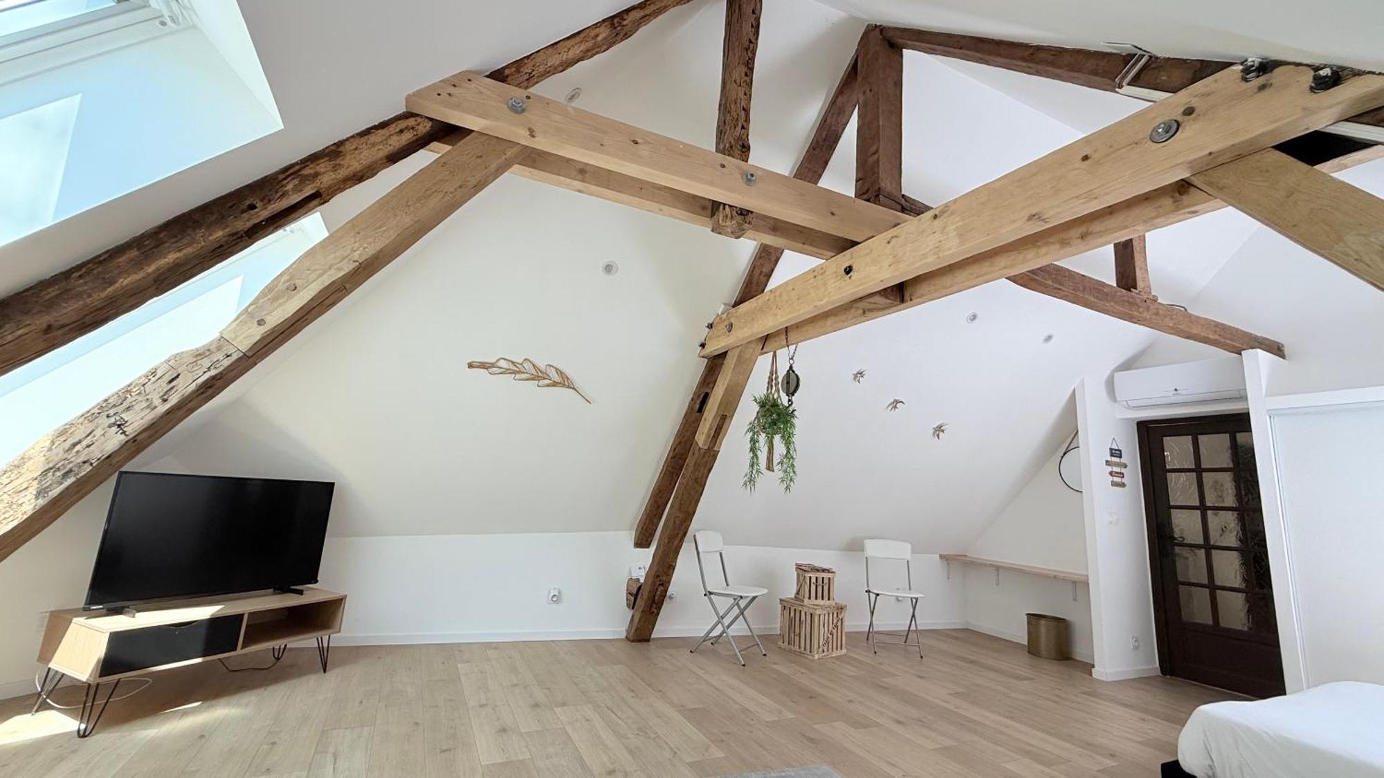 La Champenoise Appartement Troyes