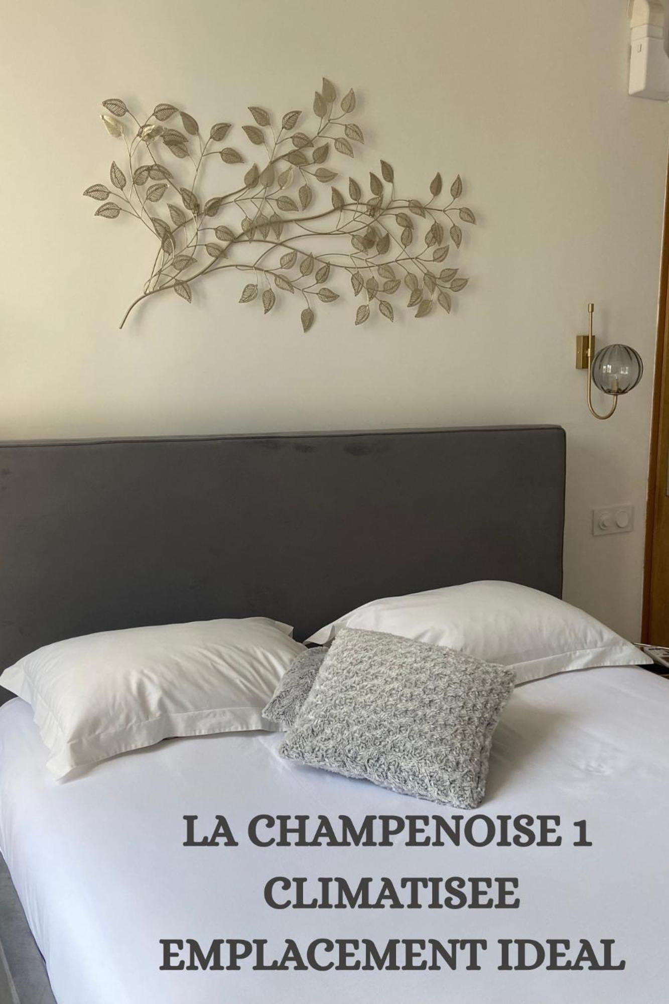 Appartement La Champenoise Troyes
